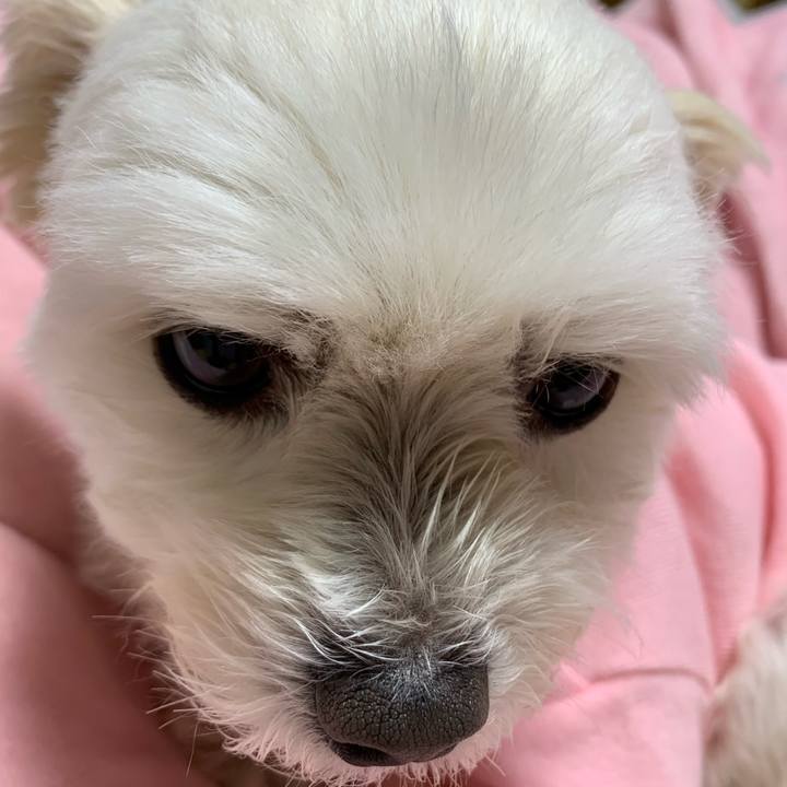 9aa2c3b7 70fa 438d a68b 4484b7ef357a 1580557372344