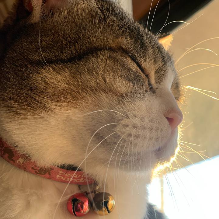 9aa2eceb d2b2 450f 8471 a5fea6cd2118 1702126734000