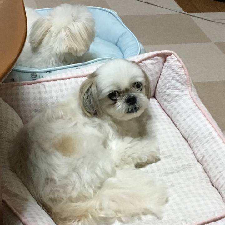 9aa31ed1 5d0e 48b8 9bf2 7ed366a05ac5 1567427579278