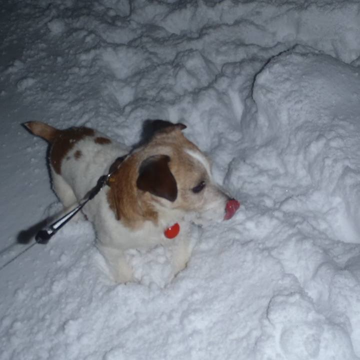 9aa32f00 9e4c 4de6 9ff3 72677b261150 1516878097023