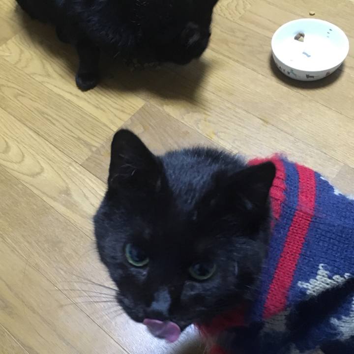 9aa33459 4c7a 402b ac97 314d2e21883b 1542363899103