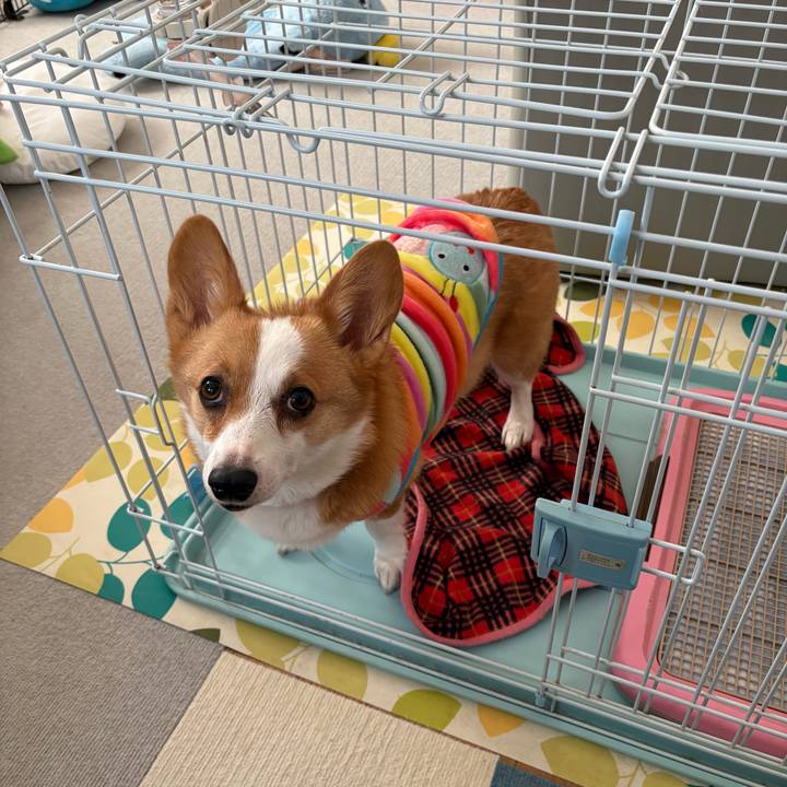 9aa35f6e dc58 4d9f af4a 25d719c42e4f 1773128422590