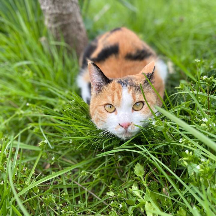 9aa3aef0 0bde 453b 89c0 e8f7be2d6b85 1649054877679