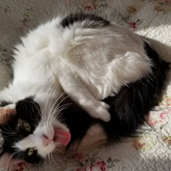 9aa3b726 dee2 4bde 971d 11e39ecfe739 1550439683975