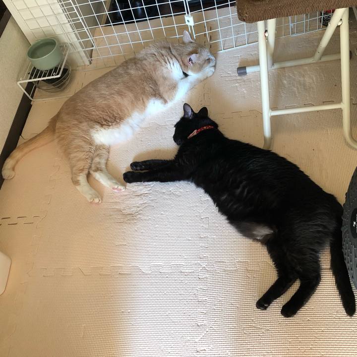 9aa3e4f4 8de7 481b a016 44fbc909fa49 1631228779906