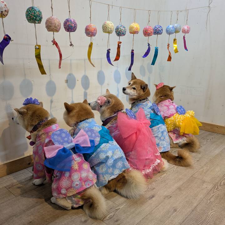 9aa4410d 0da9 472e 86b6 aee2d180ed9b 1754578920616