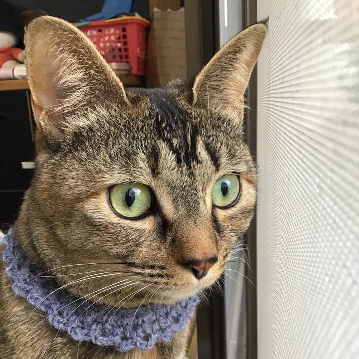 9aa448f5 649b 4655 a3b5 5f136eb5357c 1616905407900