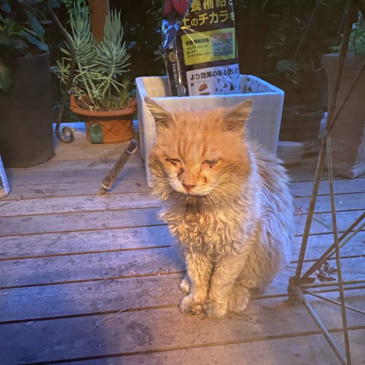 9aa44fdf 3bee 481f 9c7c c24583a7db54 1749379705985