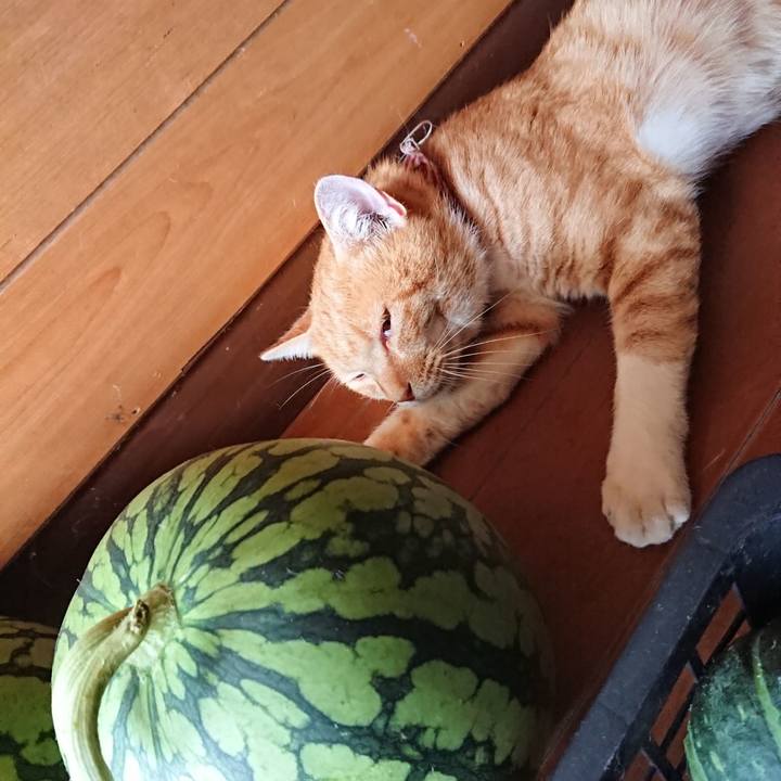 9aa46e5b 3674 47be b0d7 097898d60c1a 1565753946831