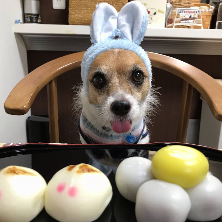 9aa4d77a 6c78 4c51 845f c55c71156b47 1537785237133