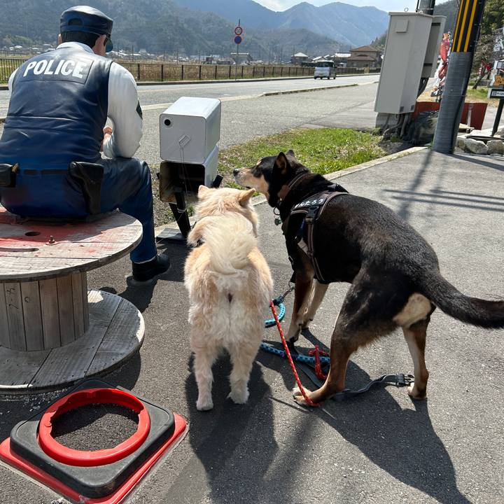 9aa5286a aa1e 4071 9bdd 3f06342f9ec6 1744332689627