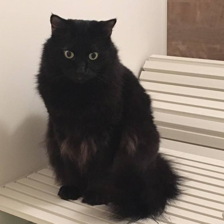 9aa53b5b 0dc2 4c7c ac7d 5e7f2b125e58 1508761787280