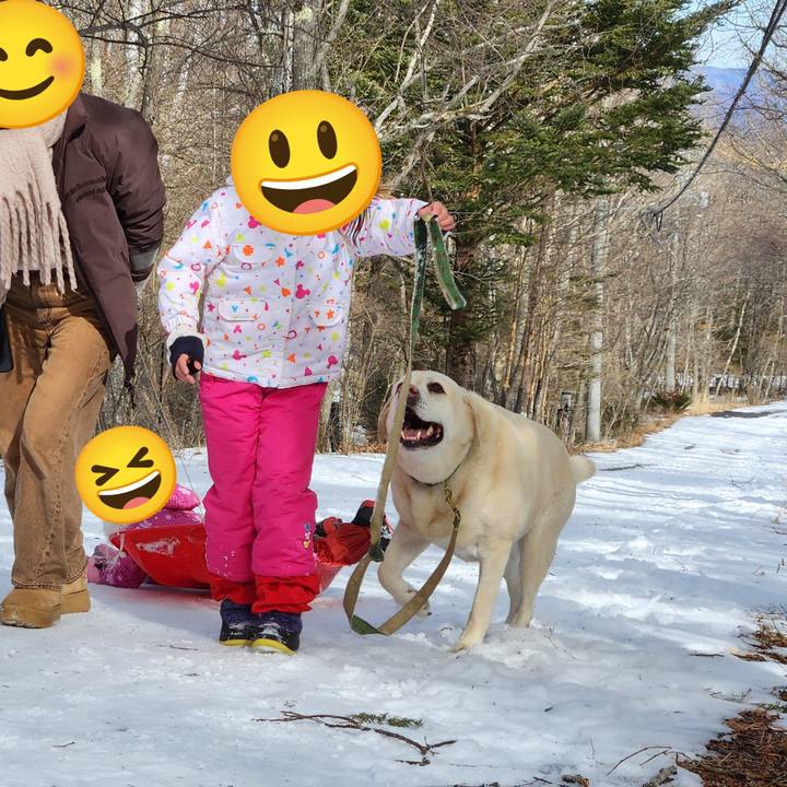 9aa53e3f 4f7f 4bde 97ab f47e605217c4 1770348921814