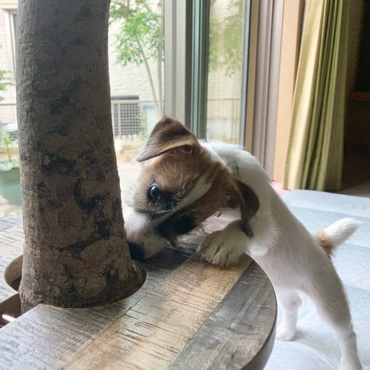 9aa557e4 7790 468b bb4c 087f59bf37df 1560324978509