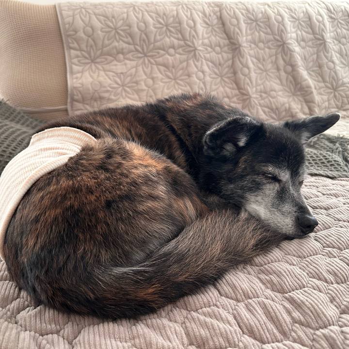 9aa58483 b34a 4043 9125 13b49bb6f1c2 1770350332712