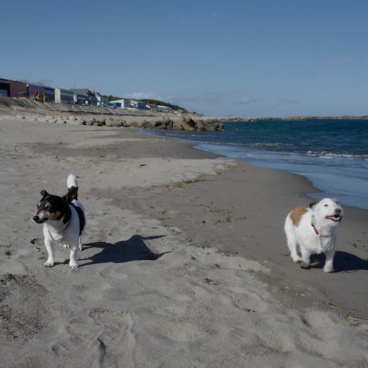 9aa5d044 acfc 4893 b359 dcf8f10e41a9 1621213168971