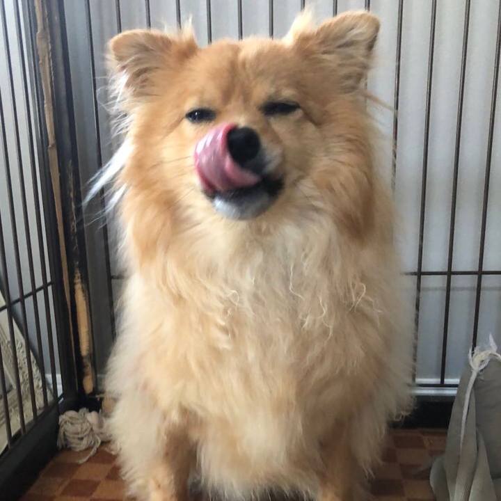 9aa5d2f1 0aa4 415d 9d2d 260709ef6df7 1680177541439