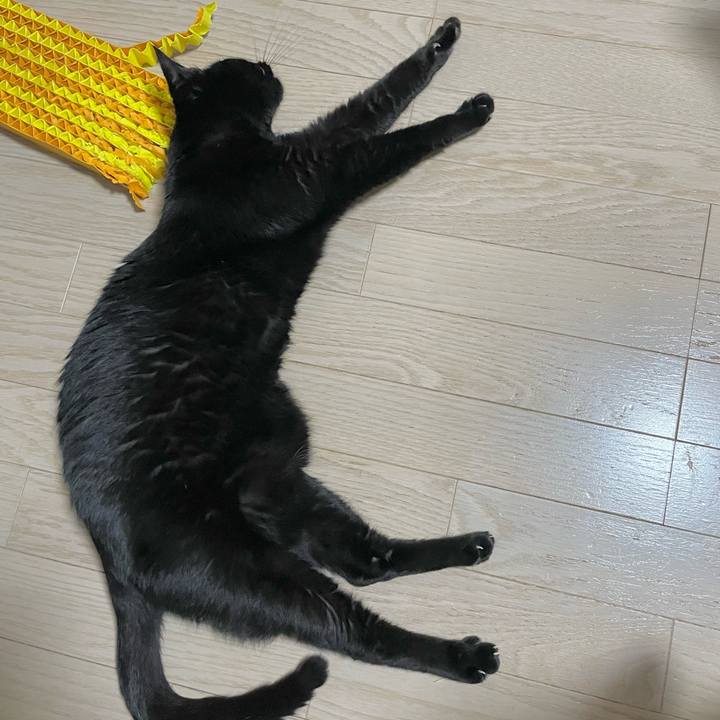 9aa63387 29cd 4bc9 86b0 5135260fe938 1669471919445