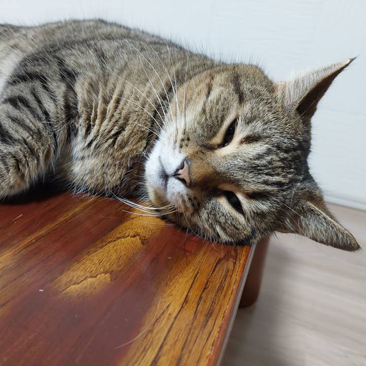 9aa63f0b 2d5d 44b3 824f dfb421f38385 1633297476142