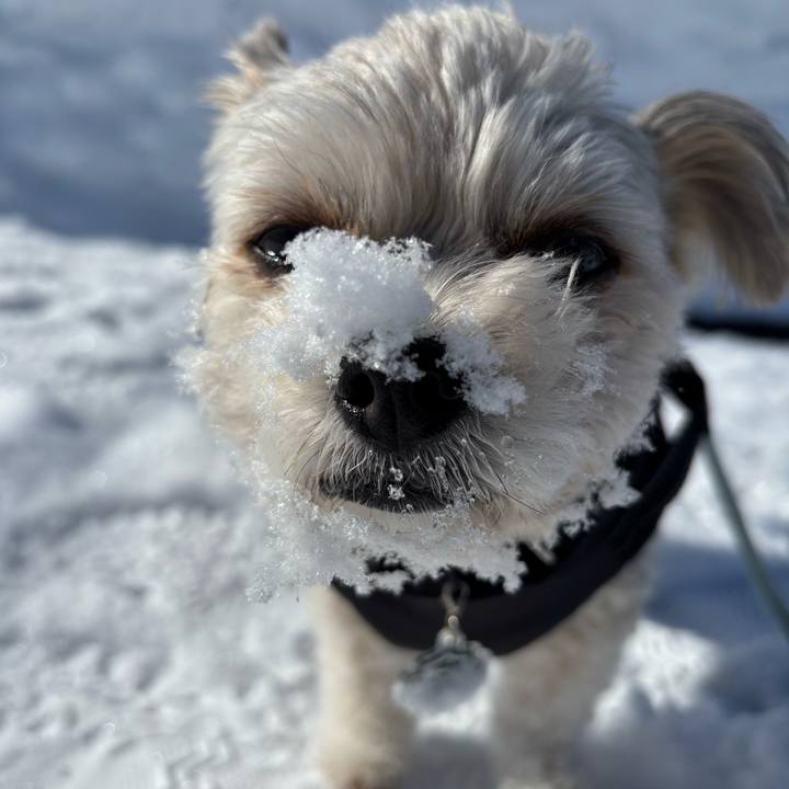 9aa648a9 eaa0 4f99 a955 da2b72dad901 1771309100096