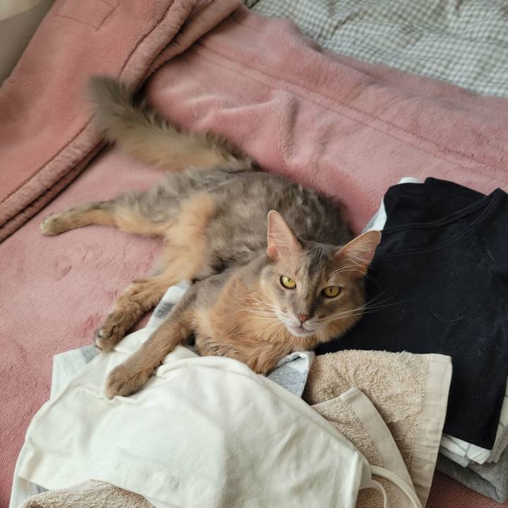 9aa65173 a8b5 4a06 b3f4 a5b091a4e244 1638189736279