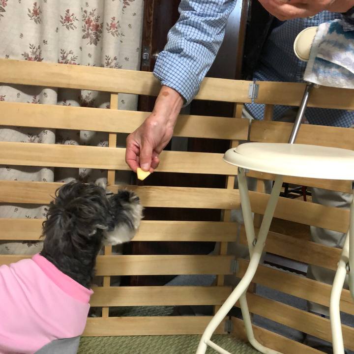 9aa67eb1 fe11 4a5e 9dff 0011407890cc 1635166697170