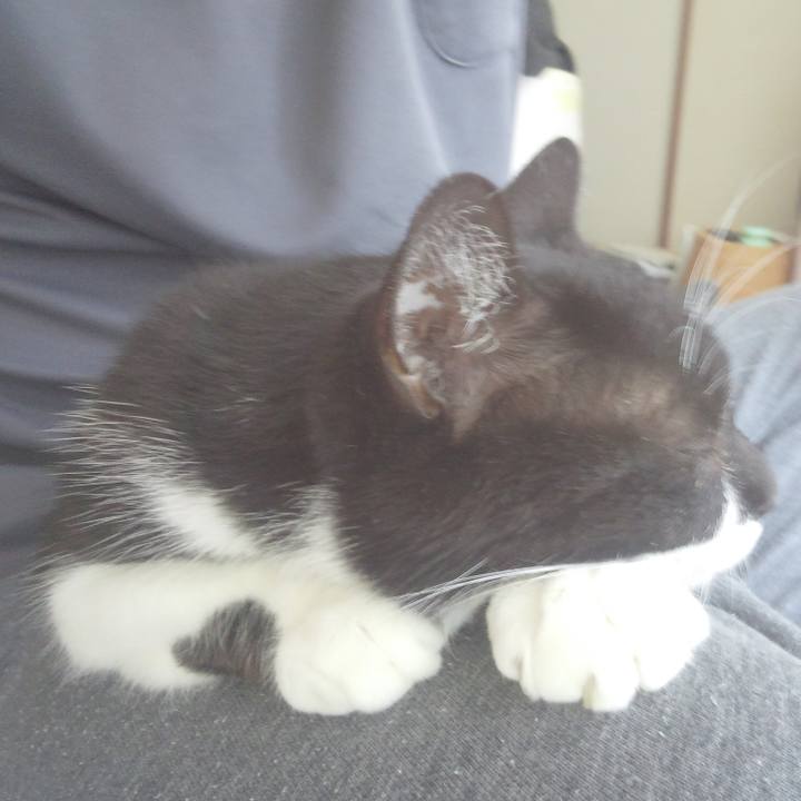 9aa69a21 ebb9 4b64 a946 1b998d38a2fb 1527941770599