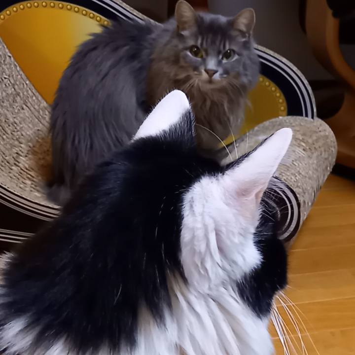 9aa6a877 0aab 496d 9f06 d6f45e3b056d 1645235791638