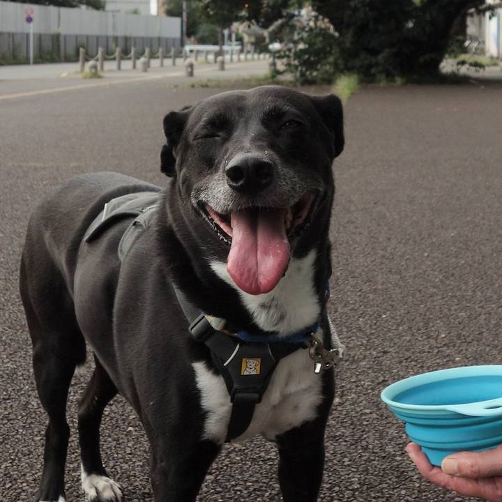 9aa6bbfb 63d8 46fe bb5a a979f52de6dd 1663030222023