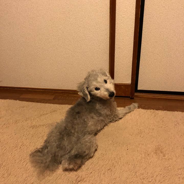 9aa6be27 f62c 49a2 8e33 8e3b237d23c2 1641553308917