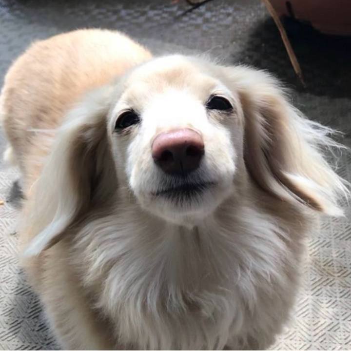 9aa6cea6 d556 49bb 9230 7a9a3a975aa3 1773474387575