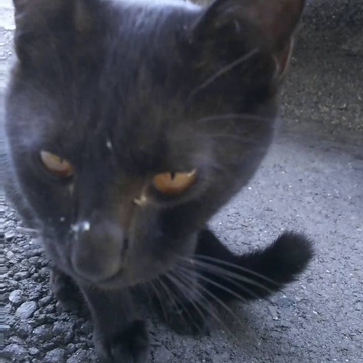 9aa7979d 589d 470c 9c2e cd8bb8dec192 1509690381906