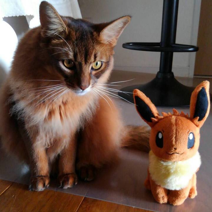 9aa7d79b 65c4 4bb3 84bb 33490793fe96 1606178117947