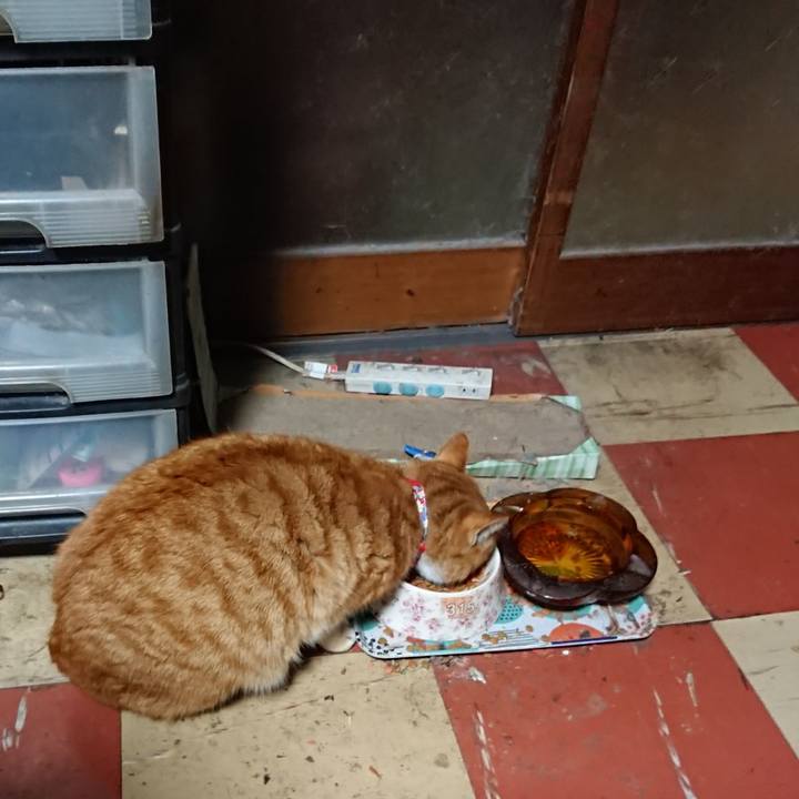 9aa7dbb3 14e9 46b9 925e 9bb047b6539e 1578081427584