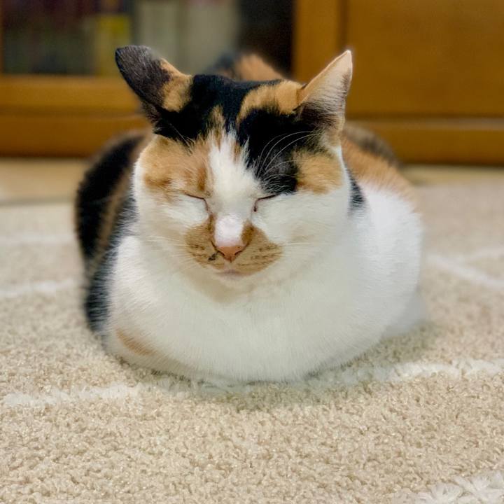 9aa7e2b5 3583 43a8 b09a 24587f7e2115 1765357657890