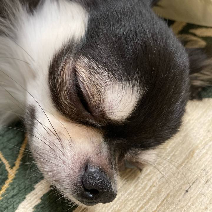 9aa7f3f2 fcaf 4ef5 a831 b693c92346a9 1633789888427