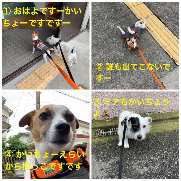 9aa7f959 83bb 4d5b a64e 03d003802dc1 1561682621288