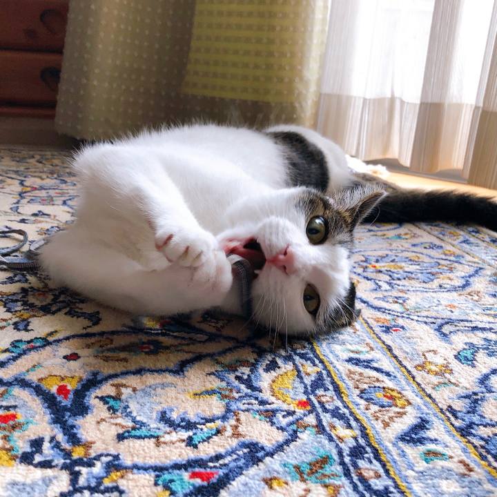 9aa7fb13 d631 4b16 8b51 aa2f5c971d8f 1630312740789