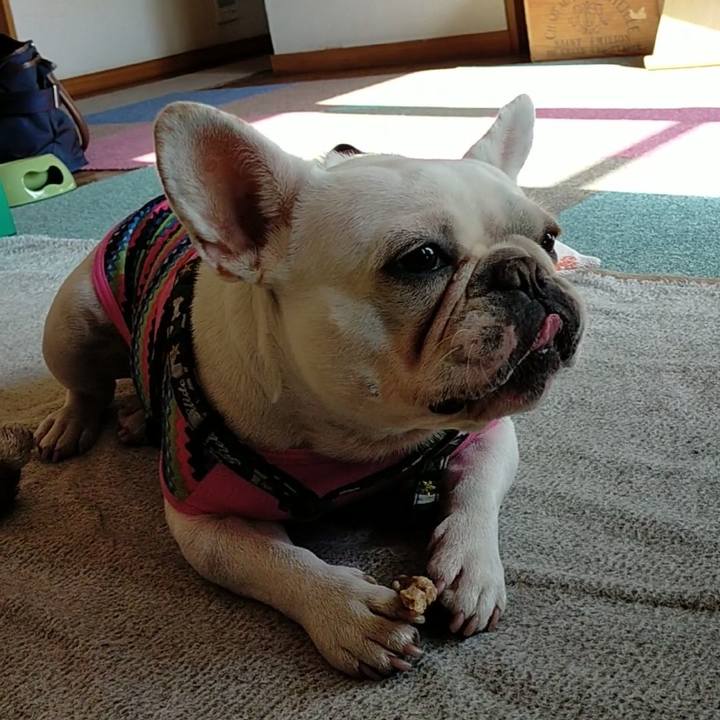 9aa826b0 4c52 434c 9f16 03106cbbbcc4 1635923496823