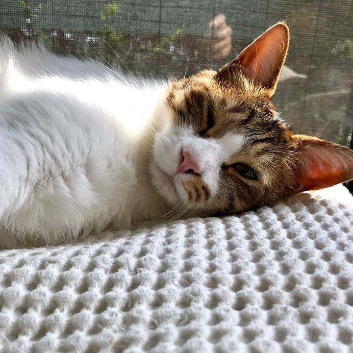 9aa88280 4381 4912 a1d3 9b8b770eca9e 1522748228173