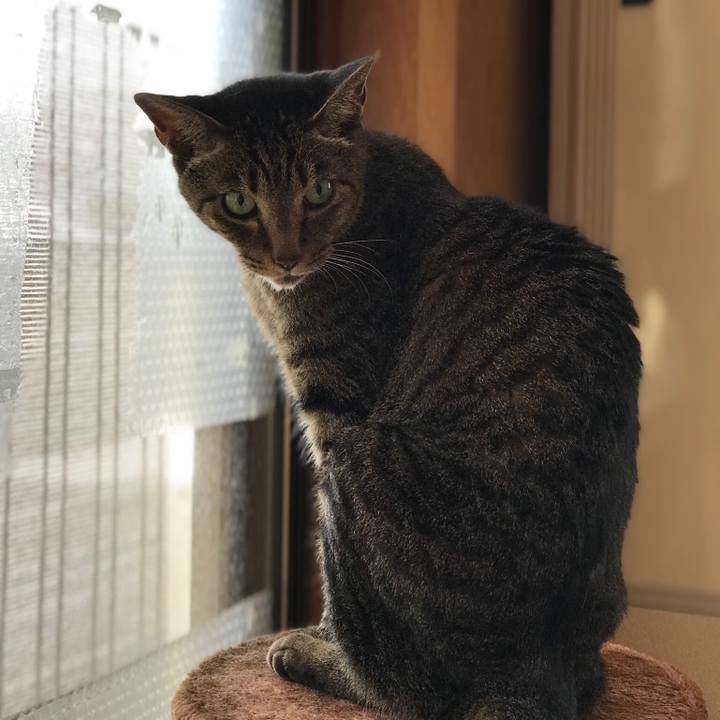 9aa884d4 7bd6 4210 a88a 32f5298e40e1 1533688065385