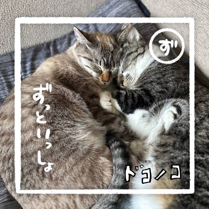 9aa8b697 69aa 465c 8707 f3eb88f617db 1685947029108