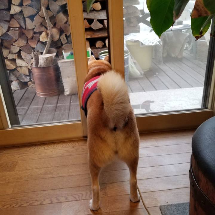 9aa8bfca fd04 416e 92dd b3c84a452068 1607829603777