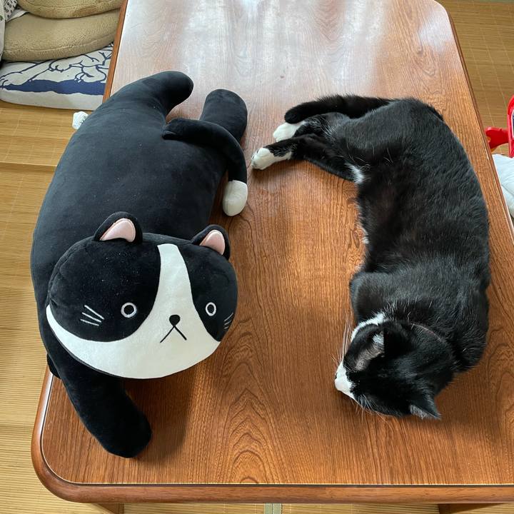 9aa8c3cd b1da 40dc 9805 950fc461aef4 1650322307930