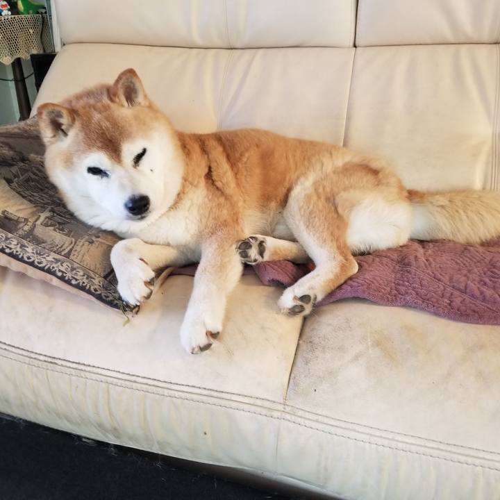 9aa8cf0e d54c 487c 914e 6c1f2979dbc1 1750806846821