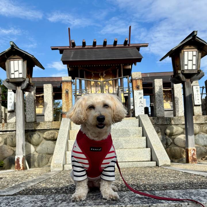 9aa91804 91cf 47b3 9654 e887276184da 1763954523353