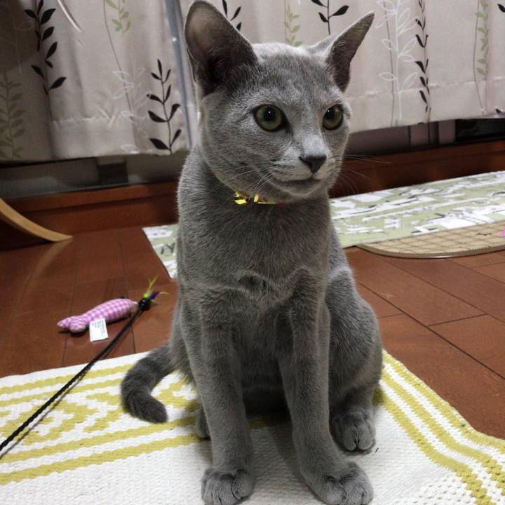 9aa92150 95a5 49b7 93ab 8d1ab81146e2 1511007921637