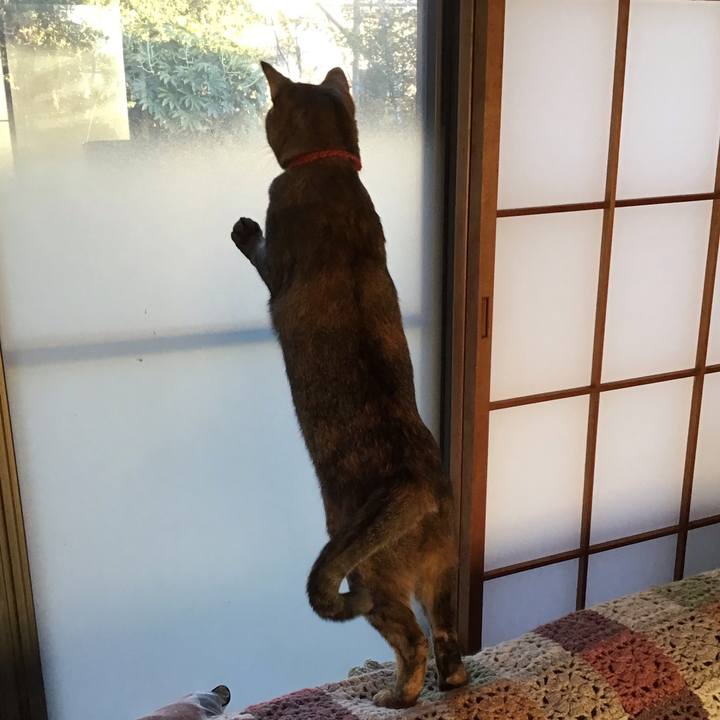 9aa92551 25ab 4045 afcd 55a3f265def3 1642752562449