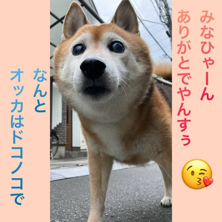 9aa93bb7 27f5 414b 8922 0e7bfdb7d397 1729585839508