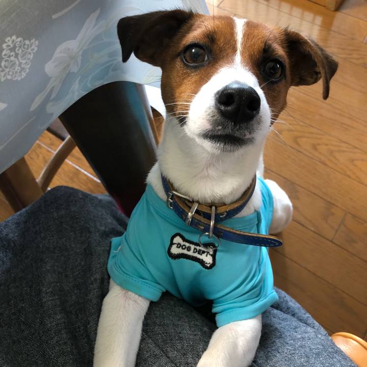 9aa93fc2 8036 4a50 a76a 5cc561fa0977 1529835708607